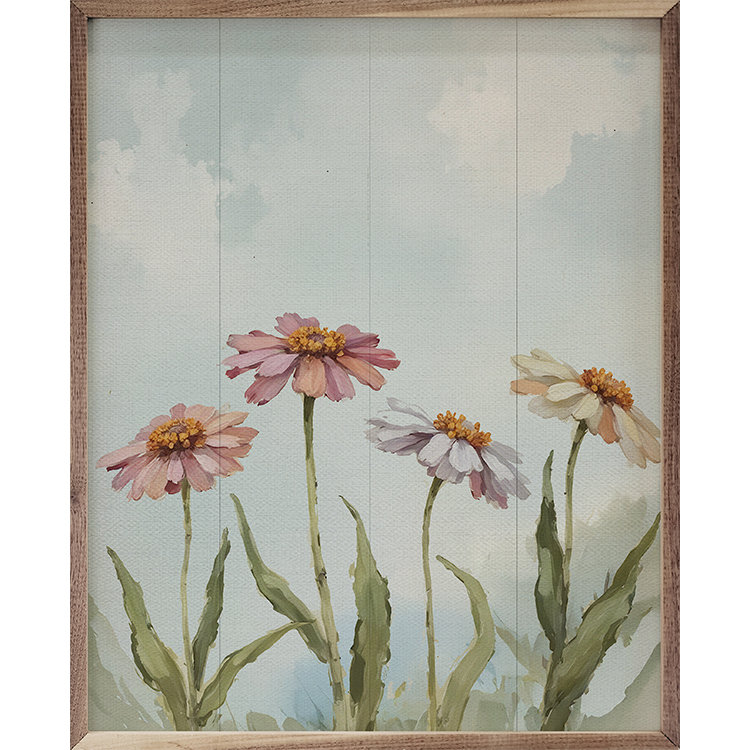 Champ de Zinnias, H 30 po x l 24 po