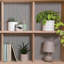 Audin 16.5' L x 20.5" W Peel and Stick Wallpaper Roll-83245455
