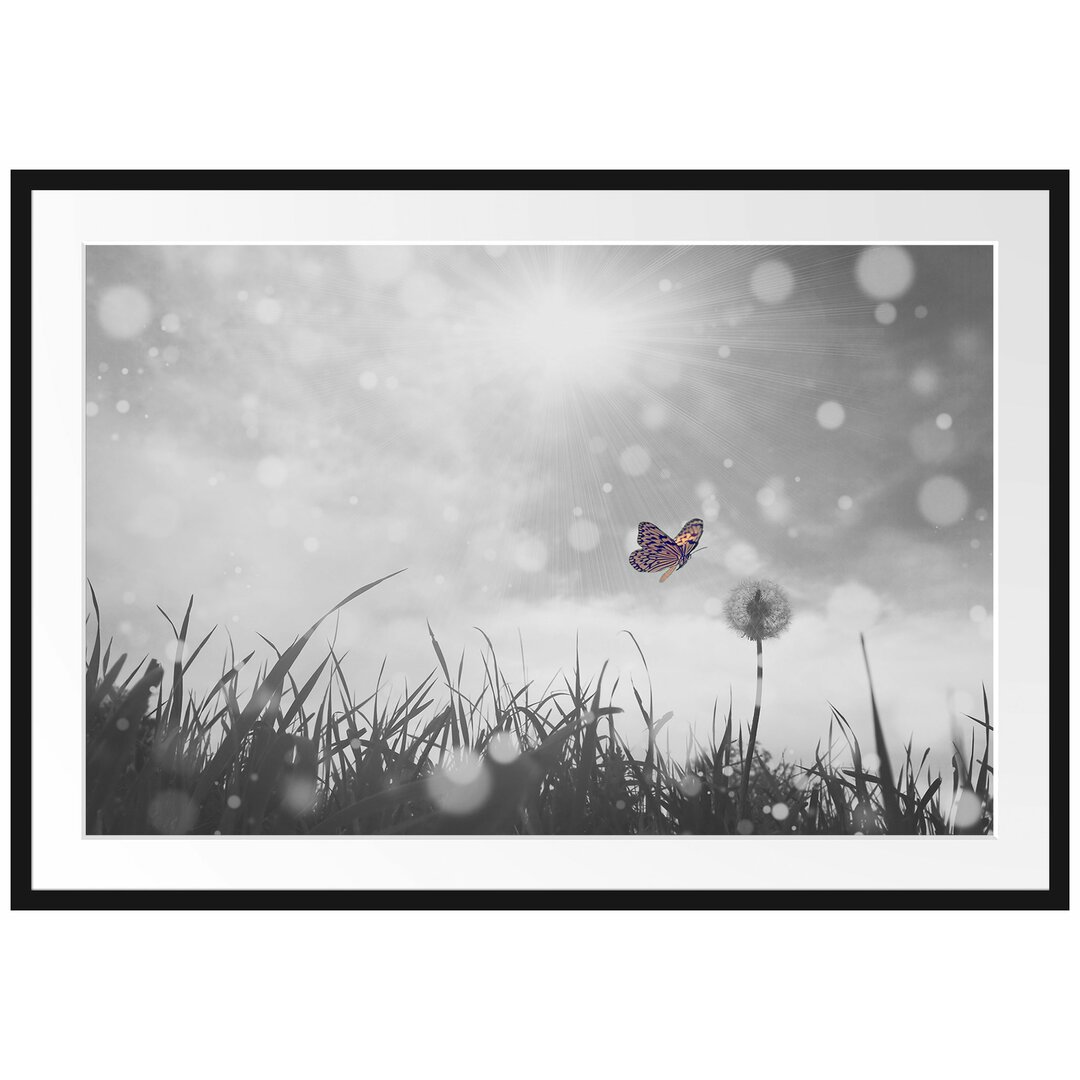 Gerahmtes Poster Schmetterling fliegt zu Pusteblume