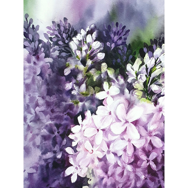 Aquarelle Regal | Aquarelle sur papier | Puja Kumar
