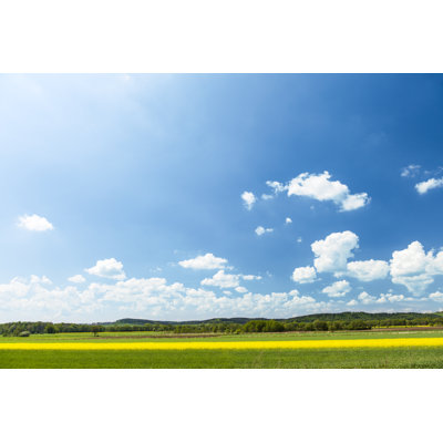 Rural Landscape by Spooh