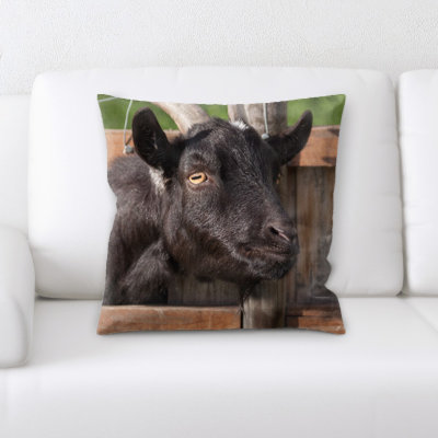 Domestic Goat Throw Pillow