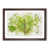 Walnut Framed selected