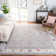 Chauncey Performance Oriental Rug
