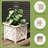 Calista 14.75" Lattice Design Planter Box - 13” Tall Square Decorative Outdoor Flower or Plant Pot-433464185-471666565