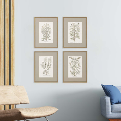 Plantes botaniques S / 4