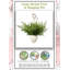 Plantes artificielles en pot de fleurs-936740192