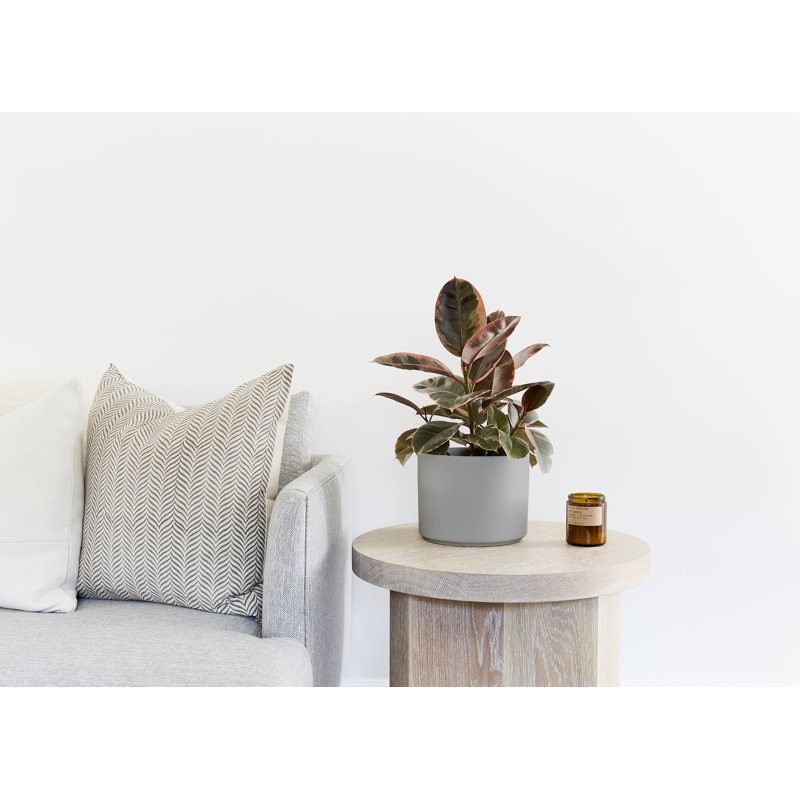 Pot de fleurs en grès cérame, H 8,25 po x l 6,5 po x P 6,5 po, Gris