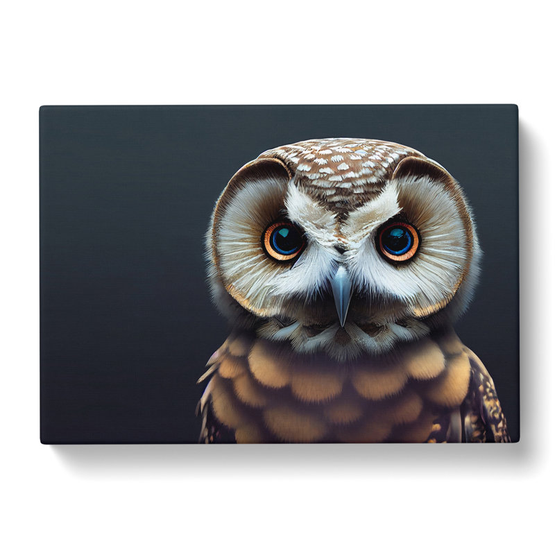 Incredible Owl - Wrapped Canvas, 40cm H x 60cm W x 3cm D