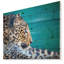 « vigilance leopard », impression-34271326-34271327
