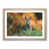 Oak Framed selected