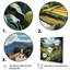Countryside Summer Vines In II - Landscapes Wall Decor-1349761233-1349761198