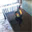 Photos des clients 1 de 2