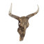 Décoration murale bohémienne