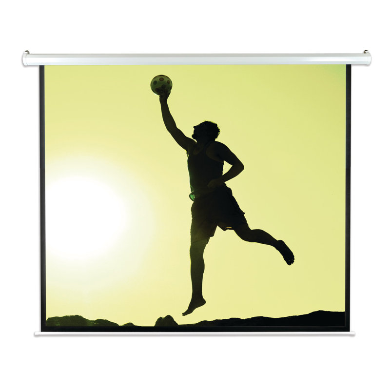 Pyle Electric Projector Screen