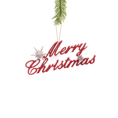 Ornement en plastique Fjolla Merry Christmas Holiday