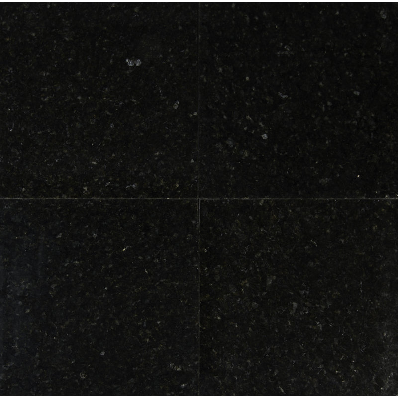 Bahia Verde 12 in. x 12 in. Polished Granite Floor and Wall Tile