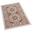 Oriental Indoor / Outdoor Area Rug-913228693
