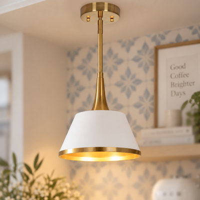 Tilda 1-Light Modern Dimmable Dome Pendant Light with Metal Shade