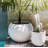 Dorlis Fiberstone Pot Planter-331591452-331591455