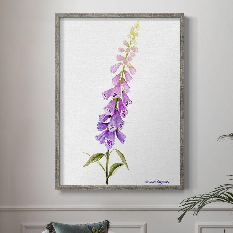 Reproduction encadrée Annie's Foxglove I - bois massif, H 30 po x l 24 po