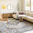 Kucera Flatiron Oriental Gray Area Rug-1976878712