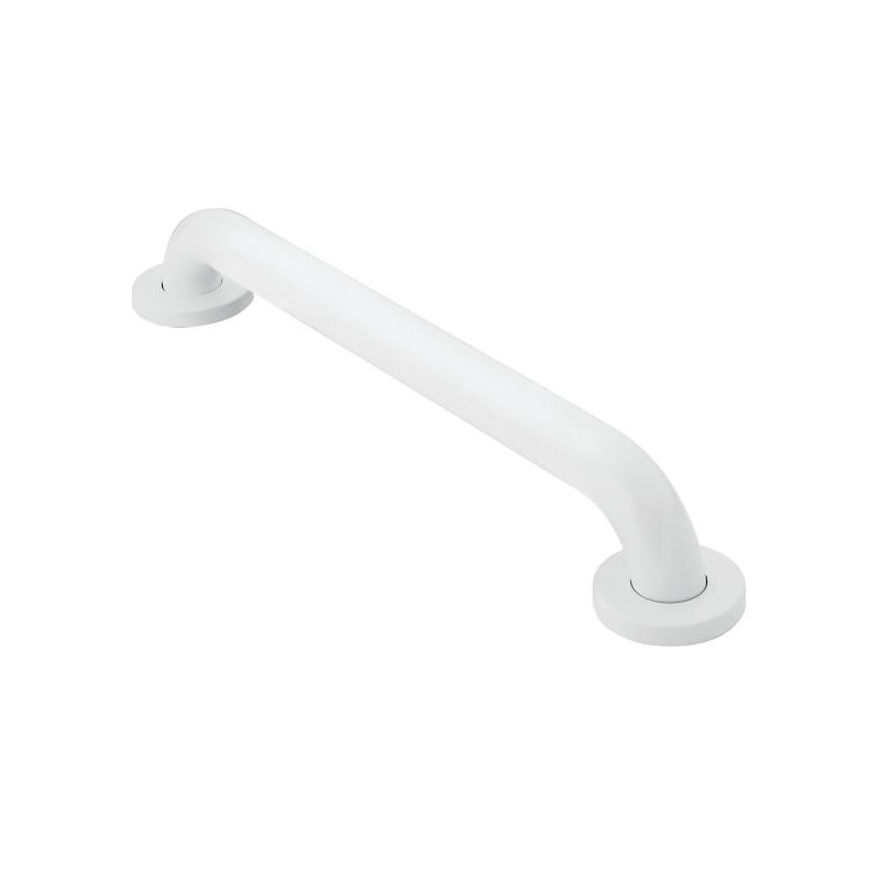 24" Grab Bar, Glacier