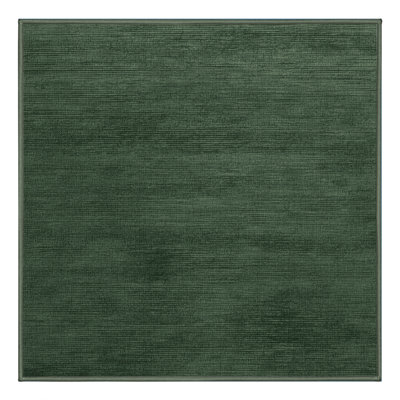 Machine Washable Solid Green Area Rug