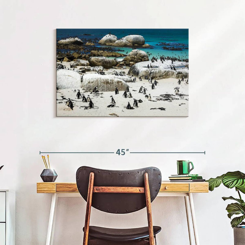 Pingouins de Brampt Boulders Beach, H 24 po x l 36 po