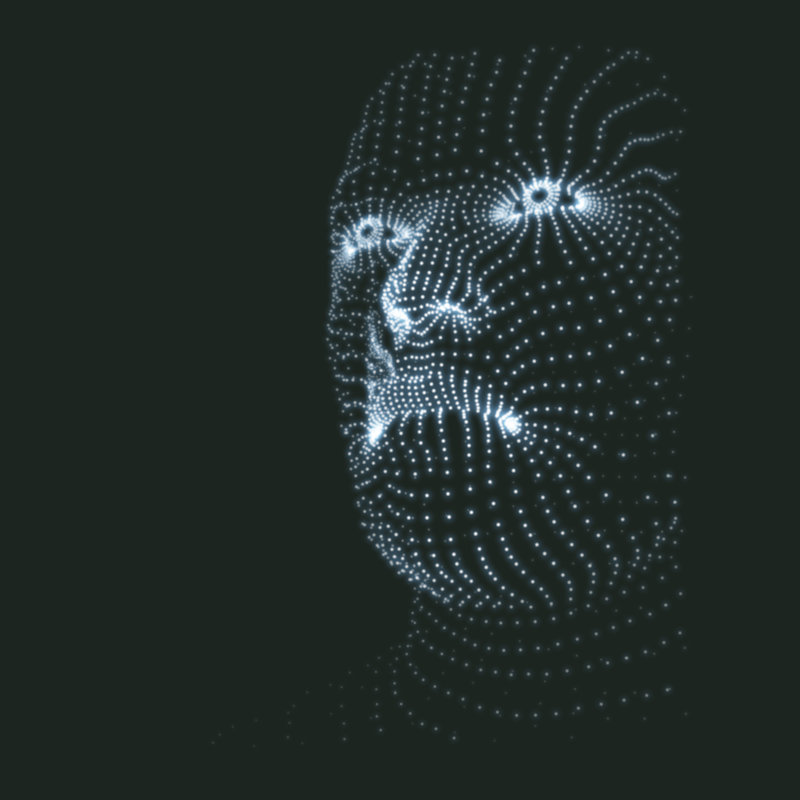 Head Of The Person From A 3D Grid. Human Head Model. Face Scanning. View Of Human Head. 3D Geometric Face Design. 3D Covering Skin. Geometry Man Portrait. Can Be Used For Avatar, Science, Technology - Wrapped Canvas Print