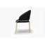 Modern Style 2PC Chairs made with Velvet fabric and Gold coated metal  Legs - Black-1482636991