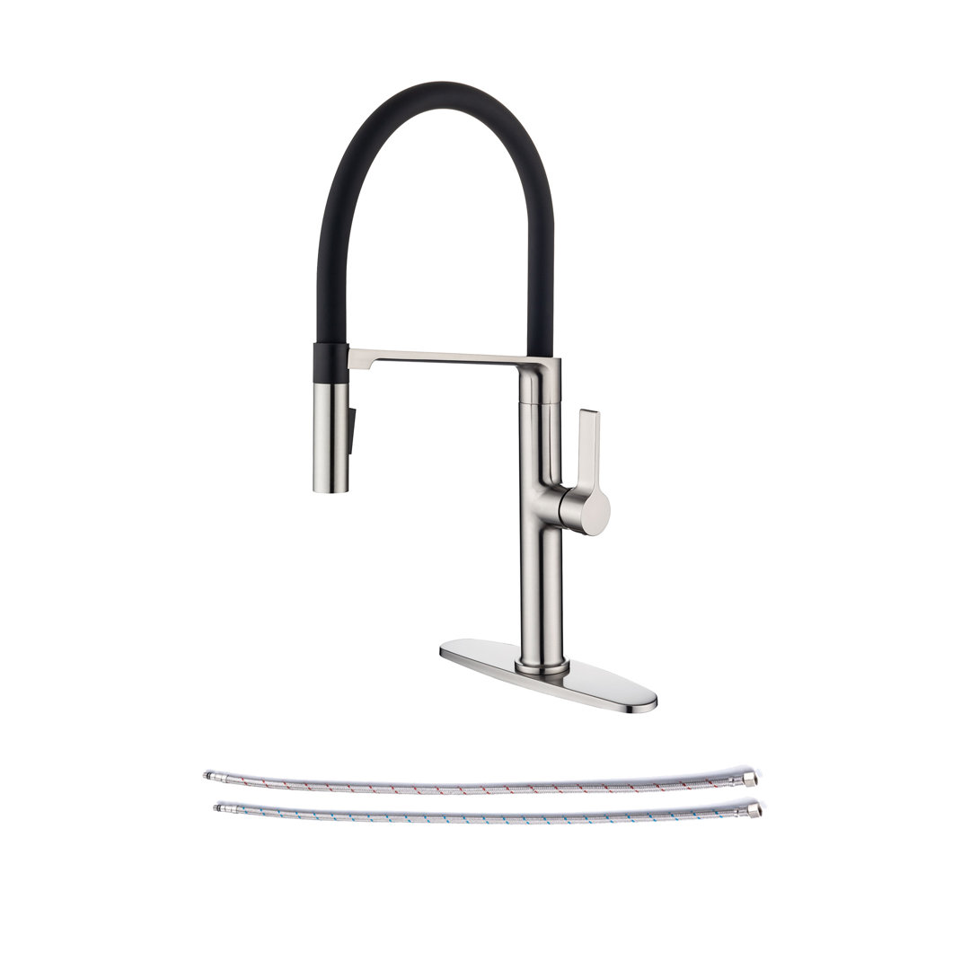 Rainlex Pull Out Kitchen Faucet Rainlex