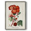 Reproduction encadrée Turpin Tropical Botanicals VII - bois massif-1851533799