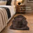 Fournier Sheepskin Animal Print Indoor Rug