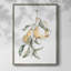 Watercolor Fruit Contour I  Framed Print - Solid Wood-441214670