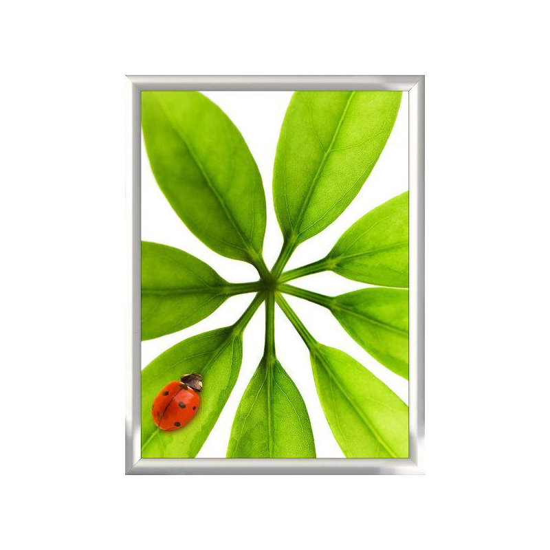 Snap Poster Frame