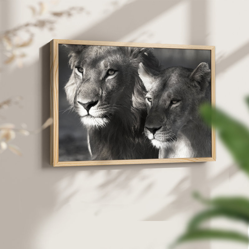 Lion and Lioness -Framed Print - Restickable, Natural, 11" H x 14" W