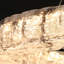 Lustre annulaire DEL 31,5 po à intensité variable Estrelita Gabby