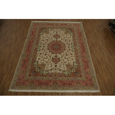 Elegant Fine Traditional Area Rug 10x13