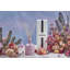 Midnight Cactus Classic Reed Diffuser