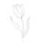 2D Tulip Sign