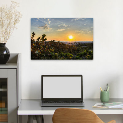 Sea Grapes At Sunset Sunrises / Sunset Art, art contemporain