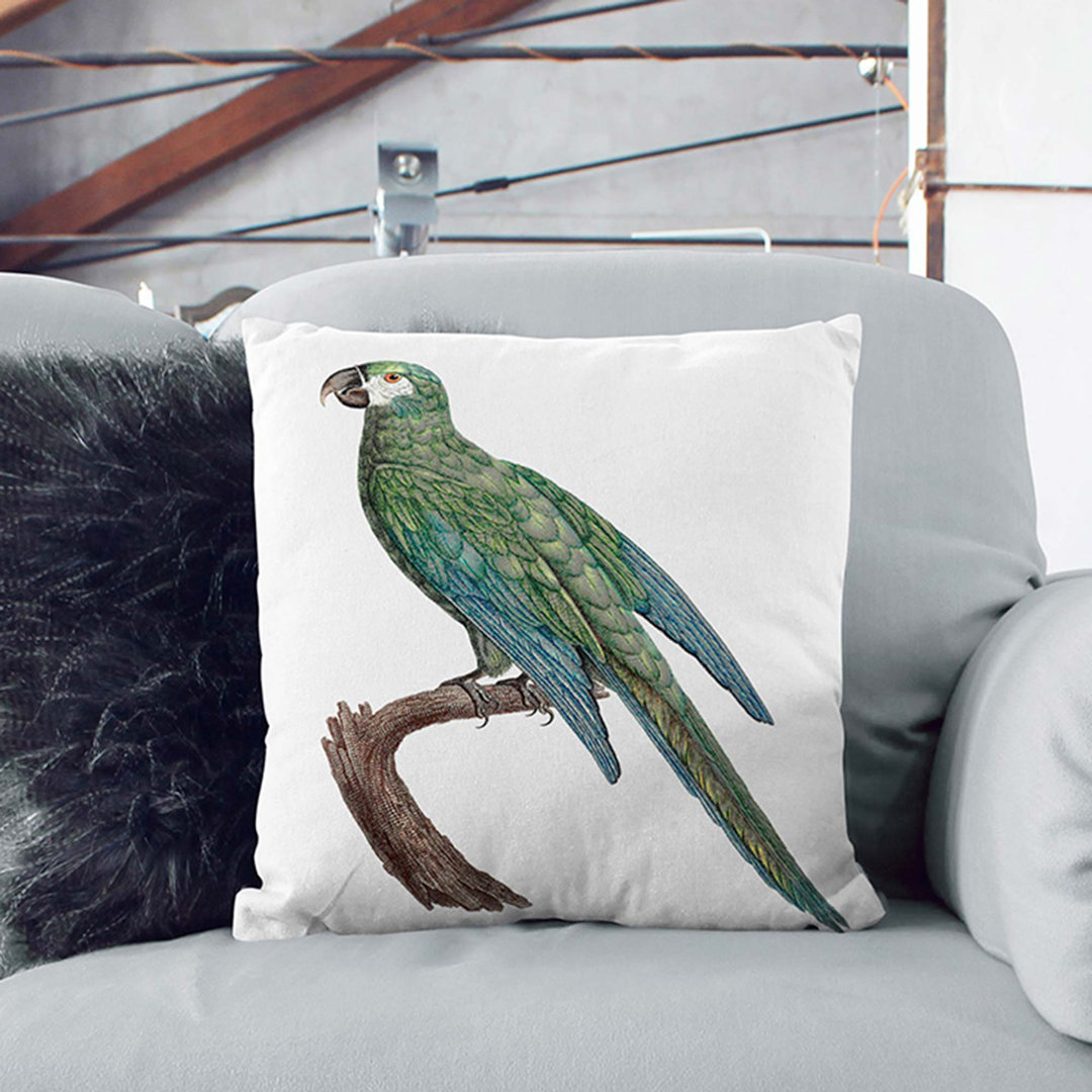 Blue-Winged Macaw Parrot by F. Levaillant Cushion with Filling