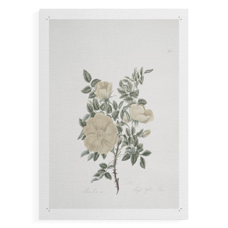Imprimé floral rétro CXLIV - reproduction de toile seulement - non encadrée