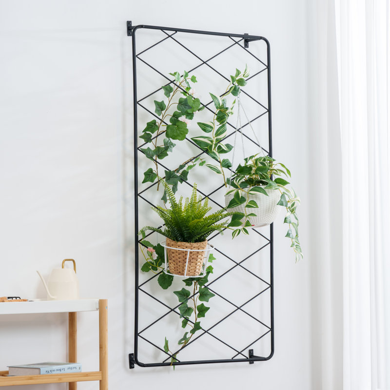 Asaf 24.1'' H x 24.1'' W Metal Lattice Panel Trellis