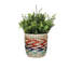 KitchenCraft Seagrass Plant Striped