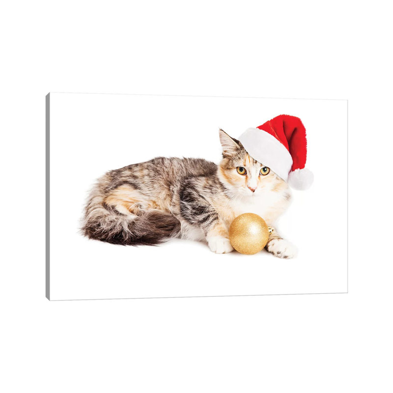 Cute Christmas Calico Kitten by Susan Schmitz - Print on Canvas, Wrapped Canvas, 30.48cm H x 45.72cm W x 1.91cm D