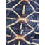 Carapaced Motif I Print by Austin Beiv-26925473-26925476