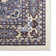 Modena Oriental Indoor Rug
