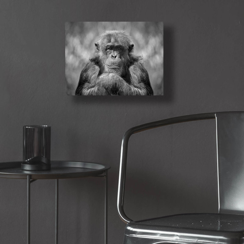 " Chimp " by SD Smart, 12" H x 16" W x 0.13" D